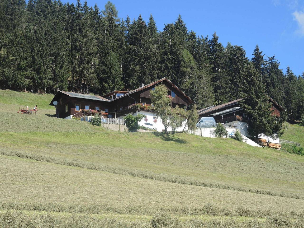 Haus Lukasser - Wohnung Ost in Villgratner Berge, Assling