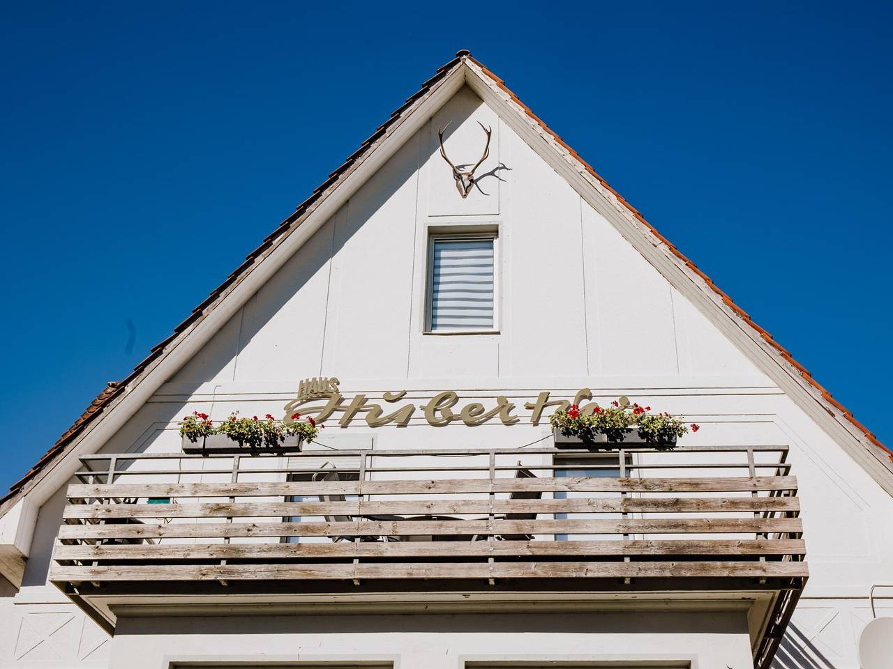 Ganze Wohnung, Ferienwohnung am Waldrand bei Bad Pyrmont in Bad Pyrmont, Weserbergland