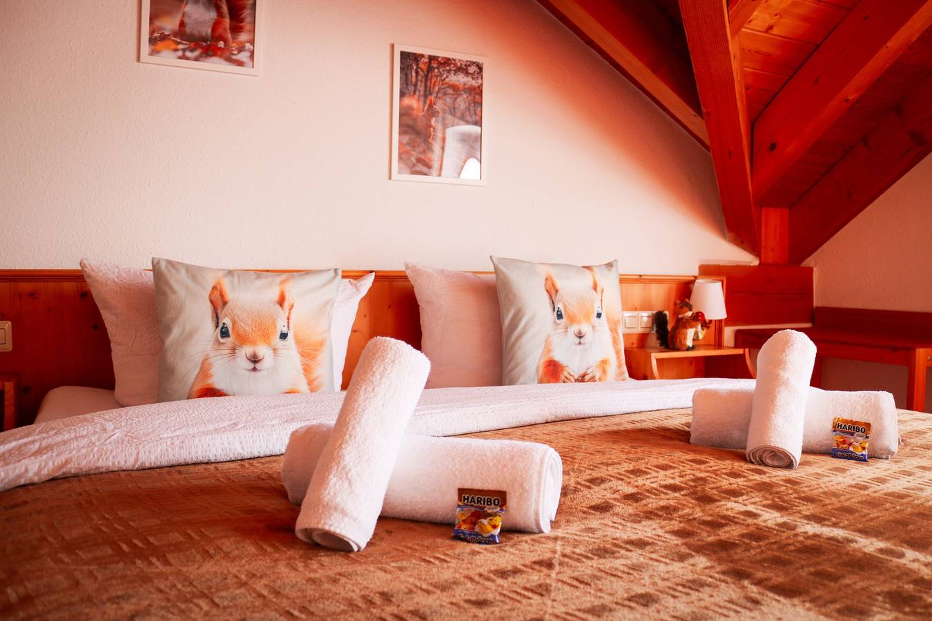 Sweet Squirrel - Doppelzimmer für 2 Personen mit Weitsicht und Sonnenbalkon in Schluchsee, Südschwarzwald