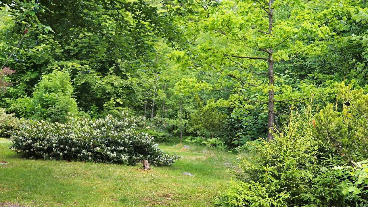 Ferienhaus für 4 Personen (55 m²) in Åsljunga in Asljunga, Skane
