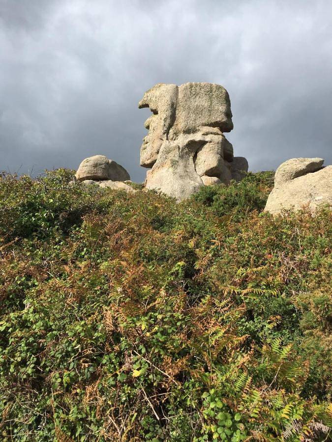 Location de vacances pour 6 personnes, avec vue et terrasse, animaux acceptés à Quessoy - 3