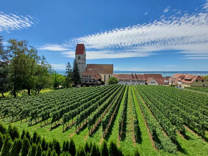 Pension, mit Seeblick in Hagnau am Bodensee - 4