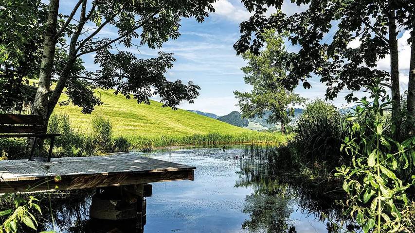 Ferienhaus für 8 Personen, mit Garten in Oberstaufen - 4