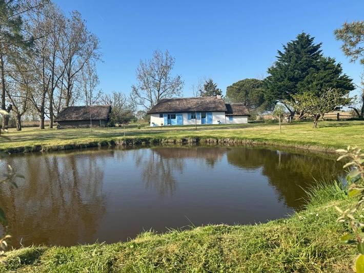 Location de vacances pour 4 personnes, avec jardin ainsi que piscine et vue, animaux acceptés à Le Perrier