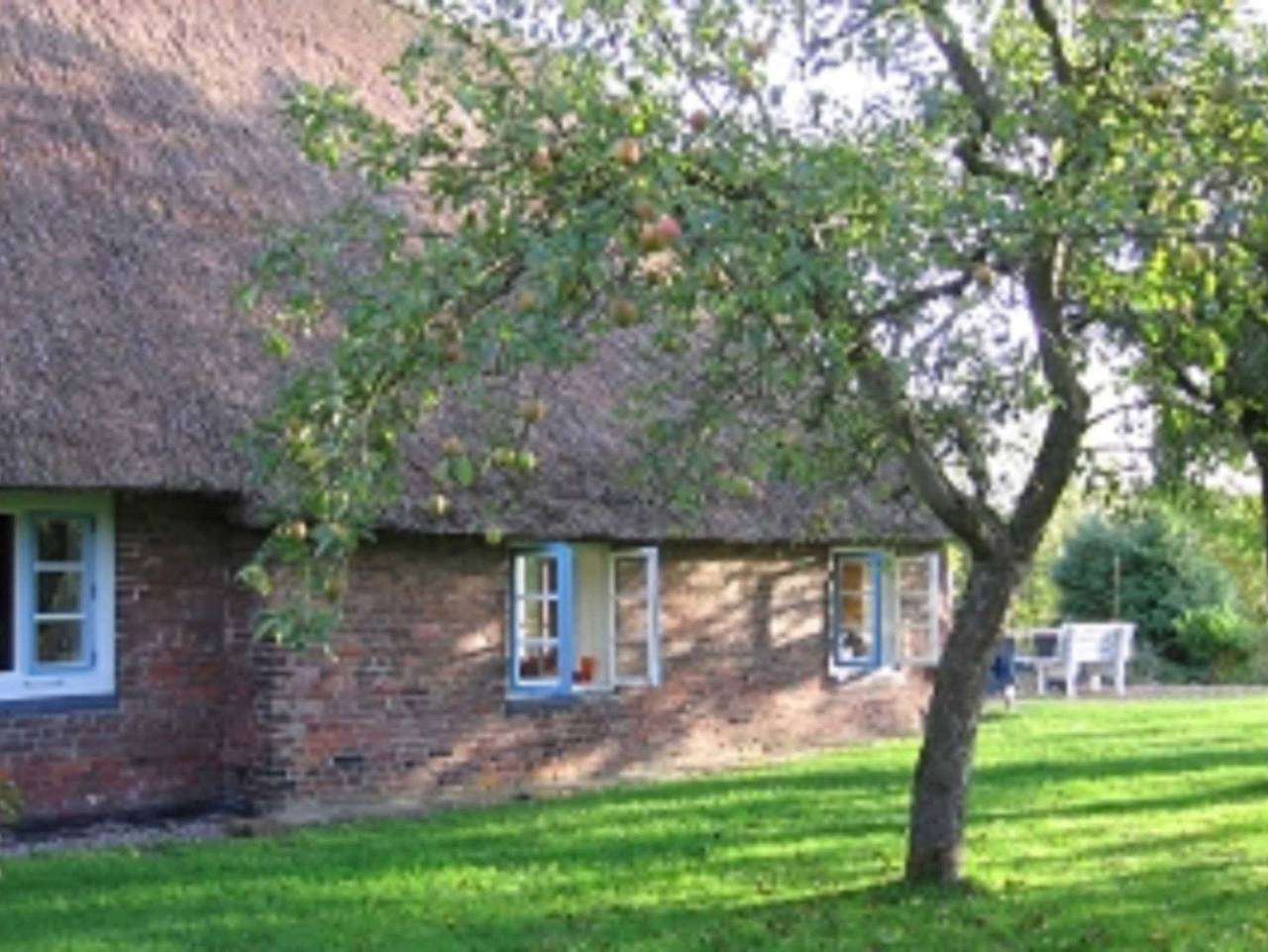 Ferienhaus Zander - Ferienhaus Zander in Balje, Cuxland