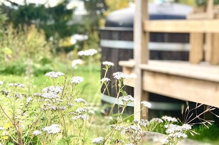 Ferienhaus für 7 Personen, mit Haustier