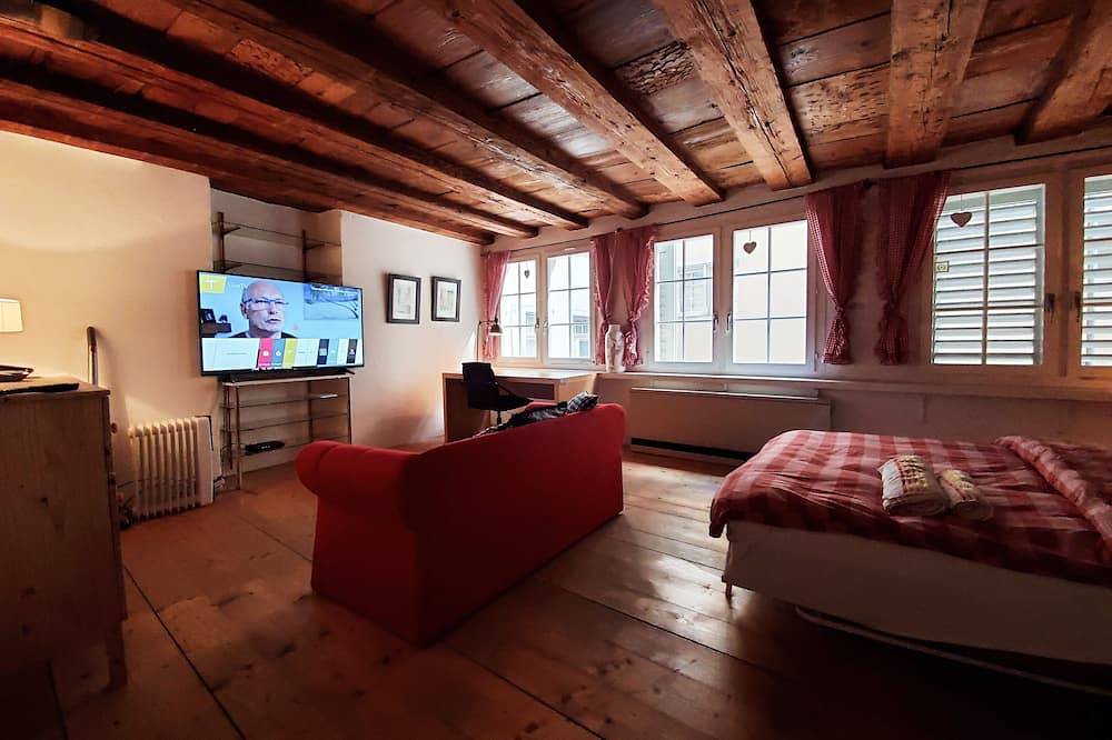 Entire apartment, Swiss Chalet style studio - top located in Zurich, Zurich district