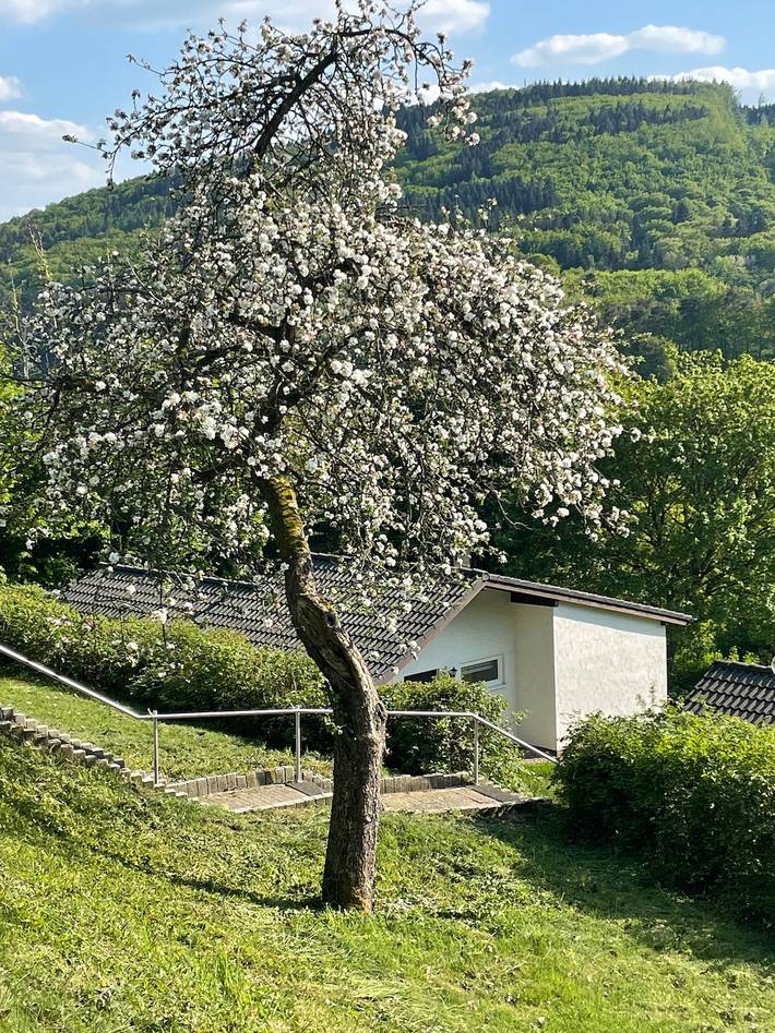 Ferienhaus für 5 Personen, mit Terrasse und Garten sowie Ausblick und Seeblick in der Eifel - 4