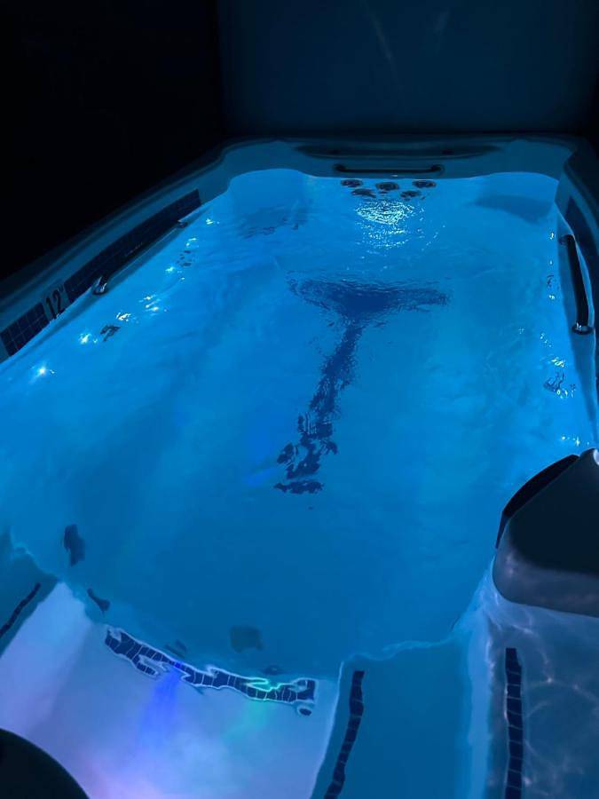 Location de vacances pour 2 personnes, avec piscine ainsi que jardin et jacuzzi à Écommoy - 3