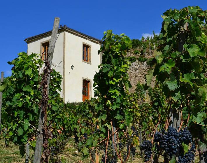 La Tour Du Pavillon in Tain-l'Hermitage, Valence region