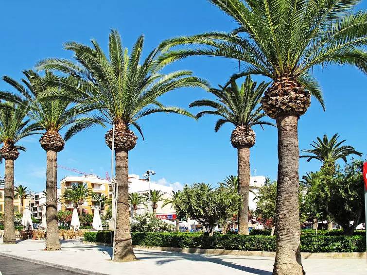 Haus 6 Personen in Cala Mitjana, Felanitx