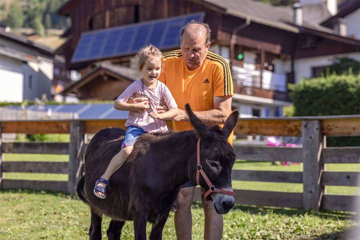 Bauernhof für 6 Personen, mit Garten und Balkon in Österreich - 2