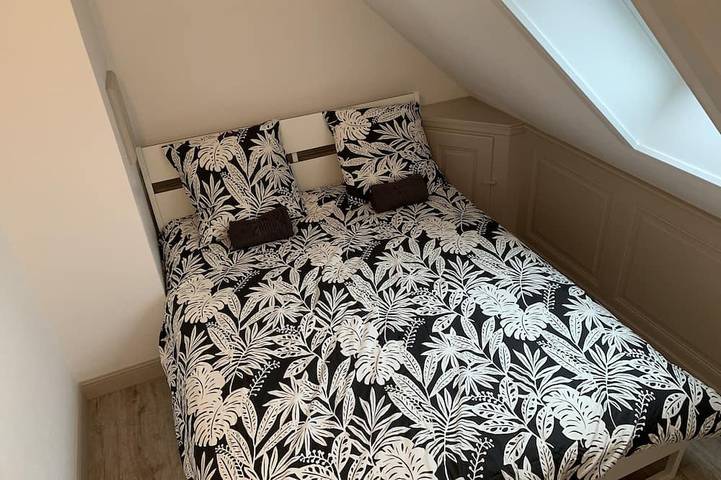 Ganze Wohnung, Historisches Stadtzentrum geräumige Wohnung in Colmar, Colmar und Umgebung