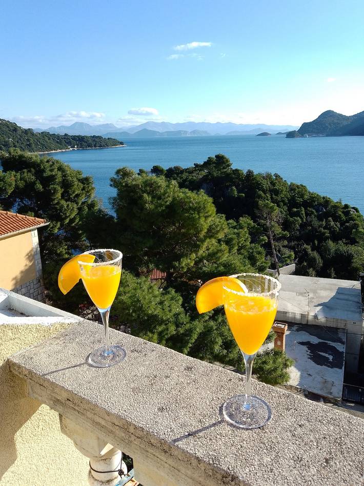Apartament wakacyjny dla 2 osób, z widok na ocean i balkon w Mljet