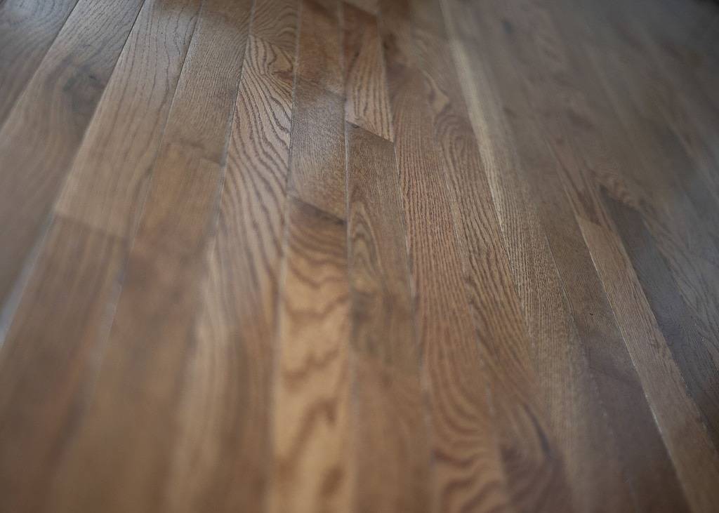 Prime Location!Walk To Water & Historic District!Private Large first floor apt! in Salem (MA), Essex County (MA)