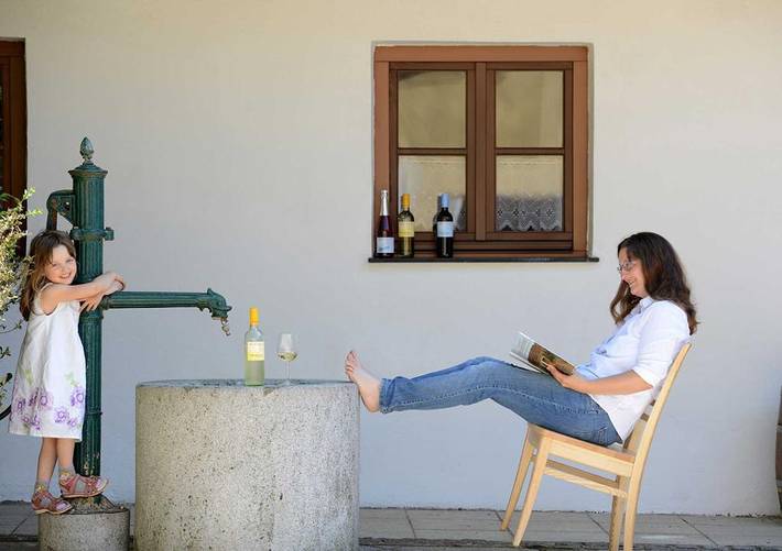Ganze Wohnung, Ferienwohnung Weinkutscher - Ebenerdige Ferienwohnung mit gemütlichem Schwedenofen in Obermixnitz, Weinviertel