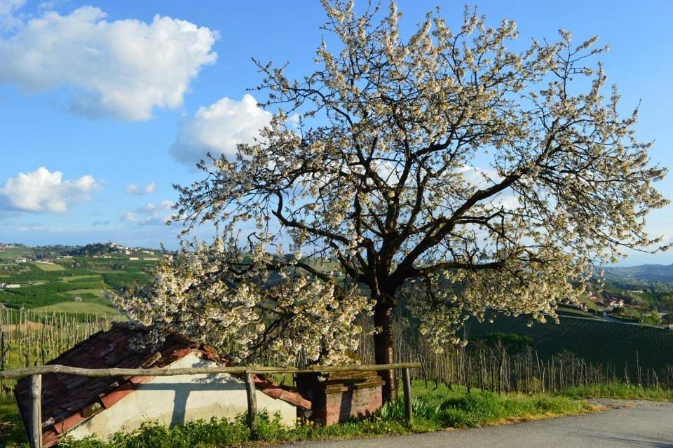Agriturismo Cascina Rabalot in Diano d'Alba, Langhe