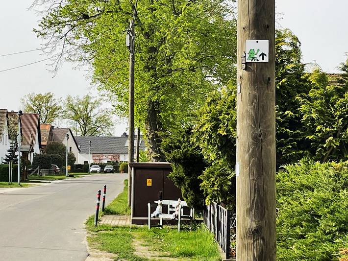 Bauernhof für 8 Personen, mit Haustier im Lausitzer Seenland - 4