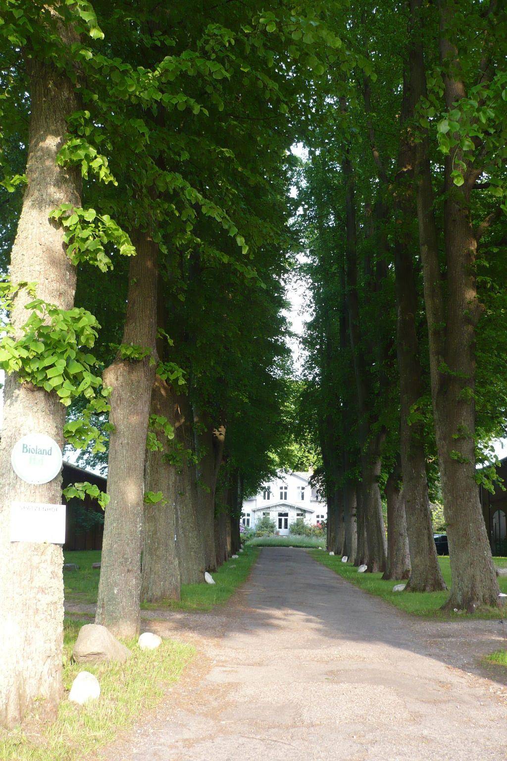 Ganze Wohnung, Gutshofambiente 1 in Stockelsdorf, Ostholstein