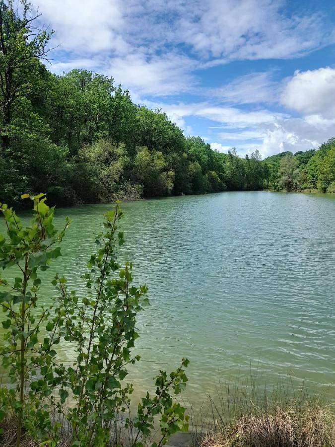 Location de vacances pour 14 personnes, avec vue ainsi que terrasse et piscine, animaux acceptés à Estipouy - 2
