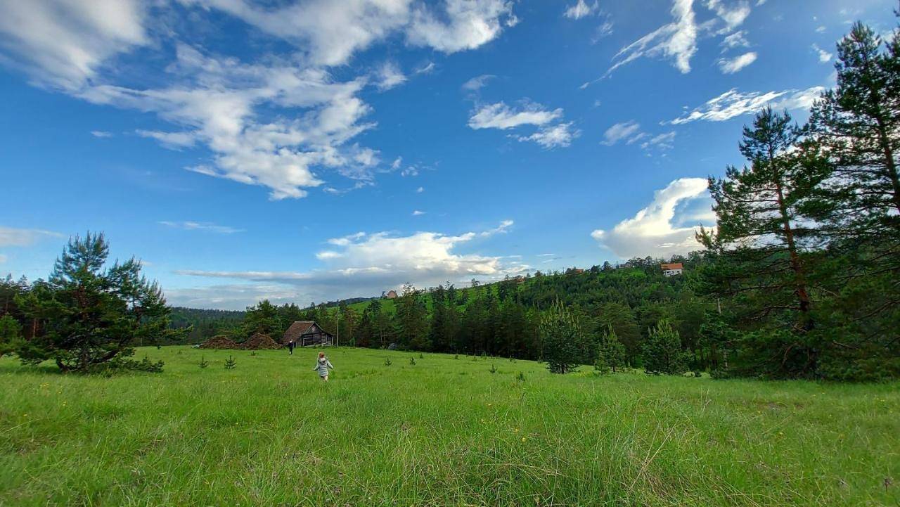 Vajat Kovačević in Divčibare, Serbia Centralna