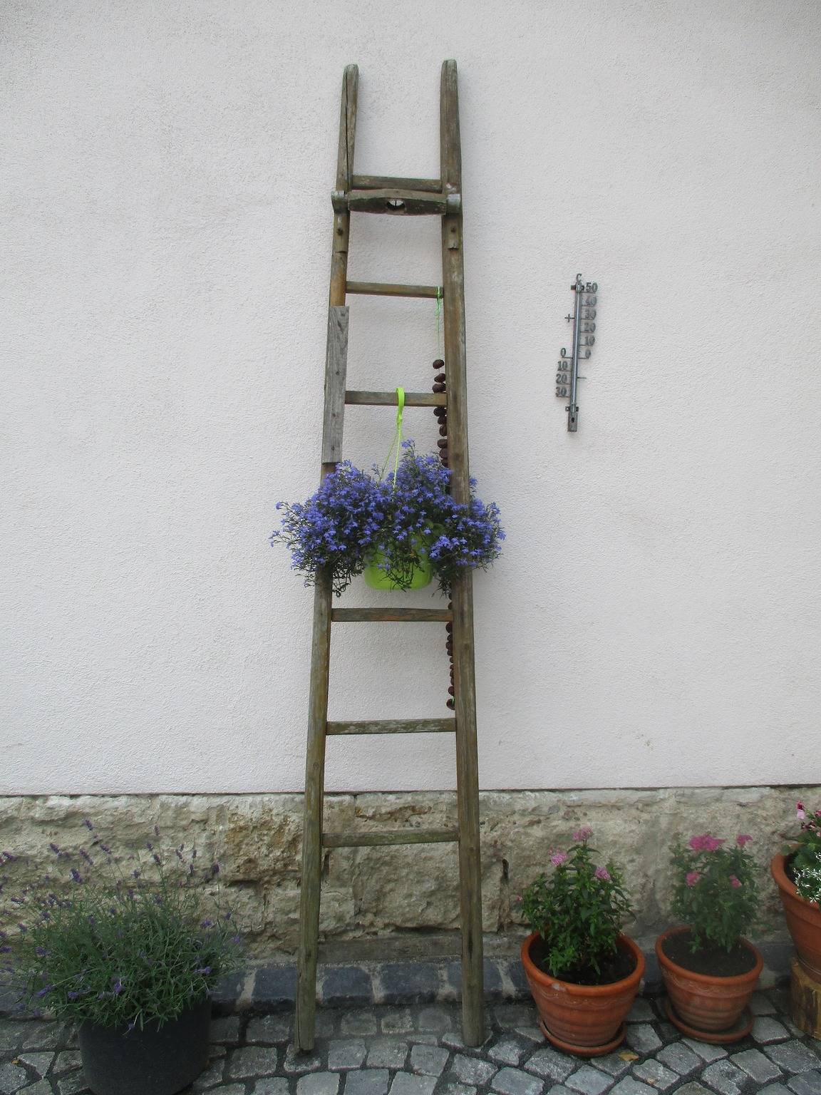 Haus Fink - Volkach - immer willkommen in Volkach, Franconian Wine Country