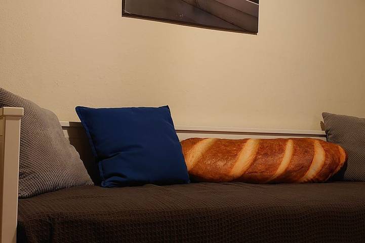 B&b für 8 Personen, mit Garten in Bautzen - 4