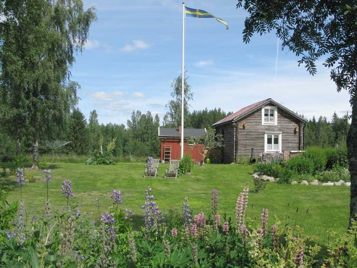 Ferienhaus für 4 Personen, mit Garten und Ausblick sowie Sauna, mit Haustier in Nordschweden - 3