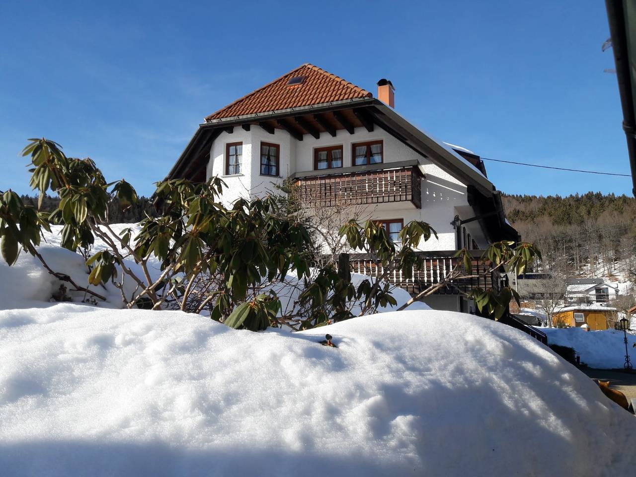 Ganze Wohnung, Ferienwohnung 'Schupp' mit Bergblick, Freisitz und Wi-Fi in Suedlicher Schwarzwald, Dachsberg