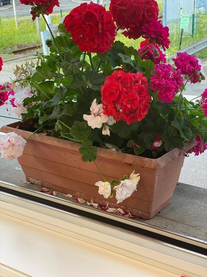 Hôtel pour 3 personnes, avec terrasse à Grand'Combe-Châteleu - 2