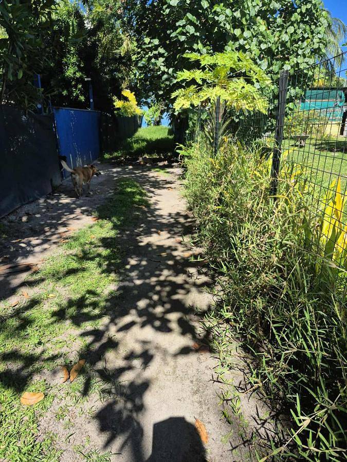 Maison d’hôte pour 2 personnes, avec terrasse ainsi que jardin et vue dans Ha'apiti - 4