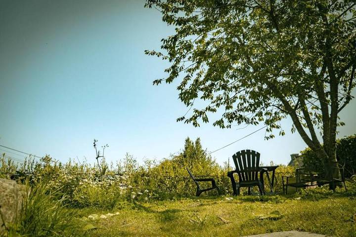 Location de vacances pour 3 personnes, avec jardin, animaux acceptés à Callac - 4