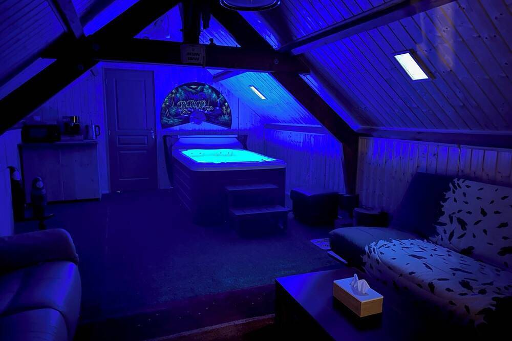 Villa des Cortins swimming pool and Spa area, free Wifi 20 min from Troyes. in Dierrey-Saint-Pierre, Aube