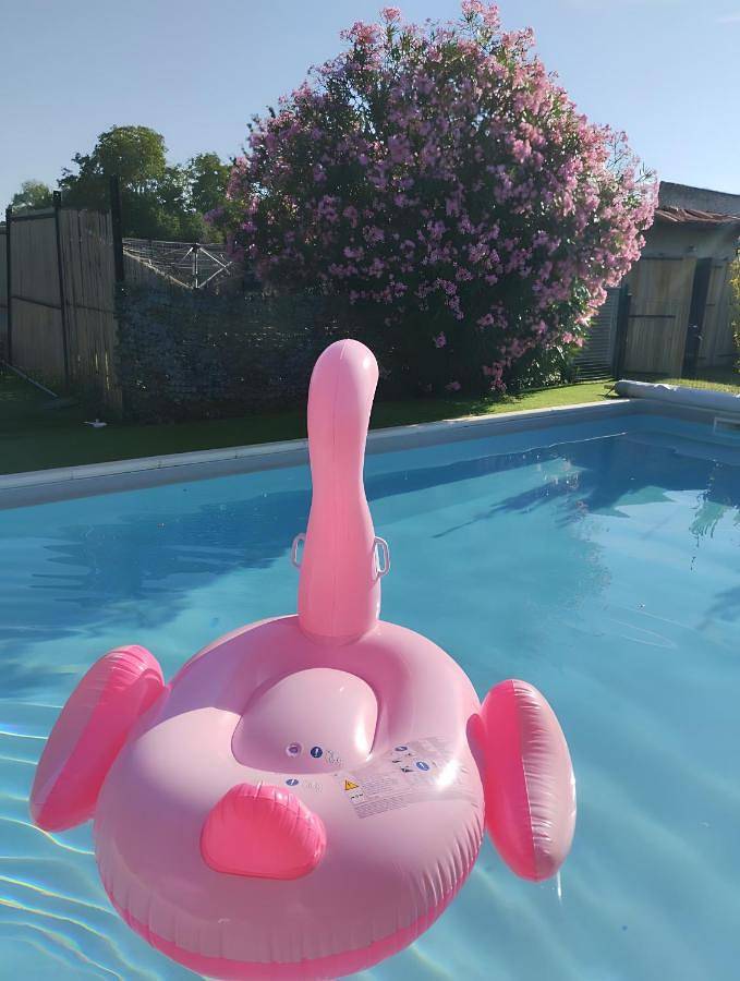 Location de vacances pour 4 personnes, avec piscine ainsi que terrasse et jardin, animaux acceptés à Asnières-la-Giraud - 3