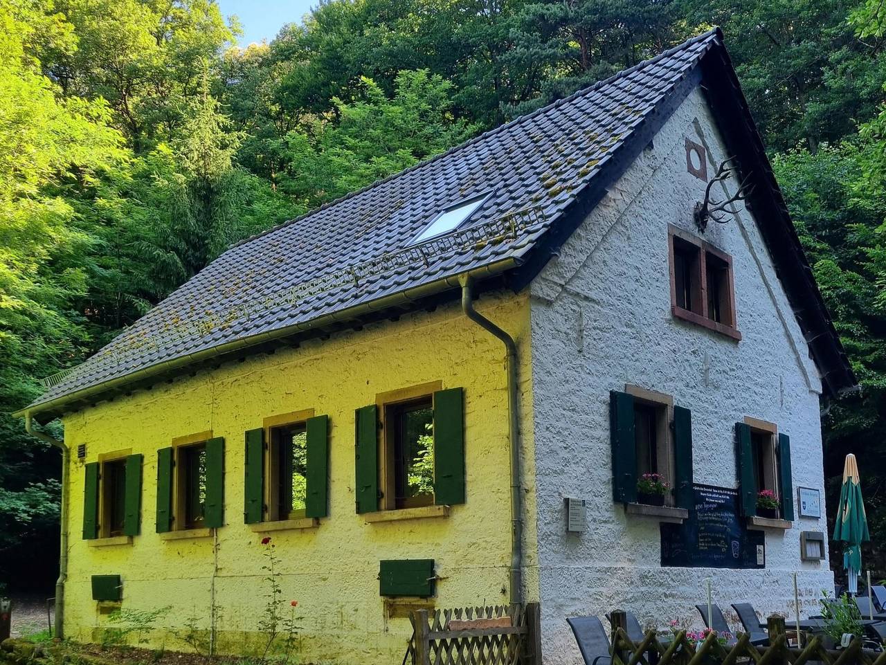 Ganze Ferienwohnung, Charlottes Waldresidenz - Charlottes Waldresidenz in Deidesheim, Deutsche Weinstraße