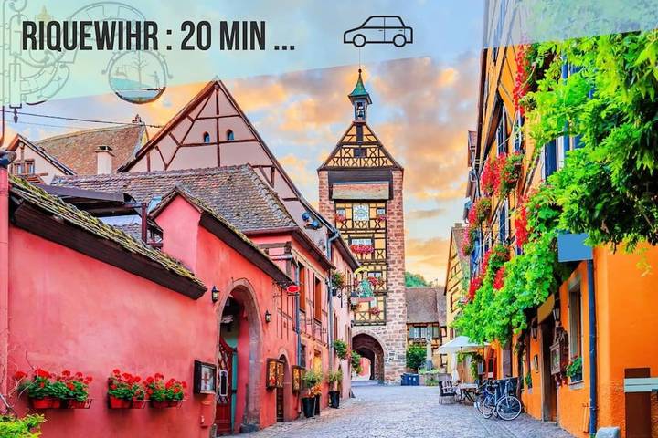 Gîte pour 6 personnes, avec vue et jardin, animaux acceptés à Horbourg-Wihr - 3