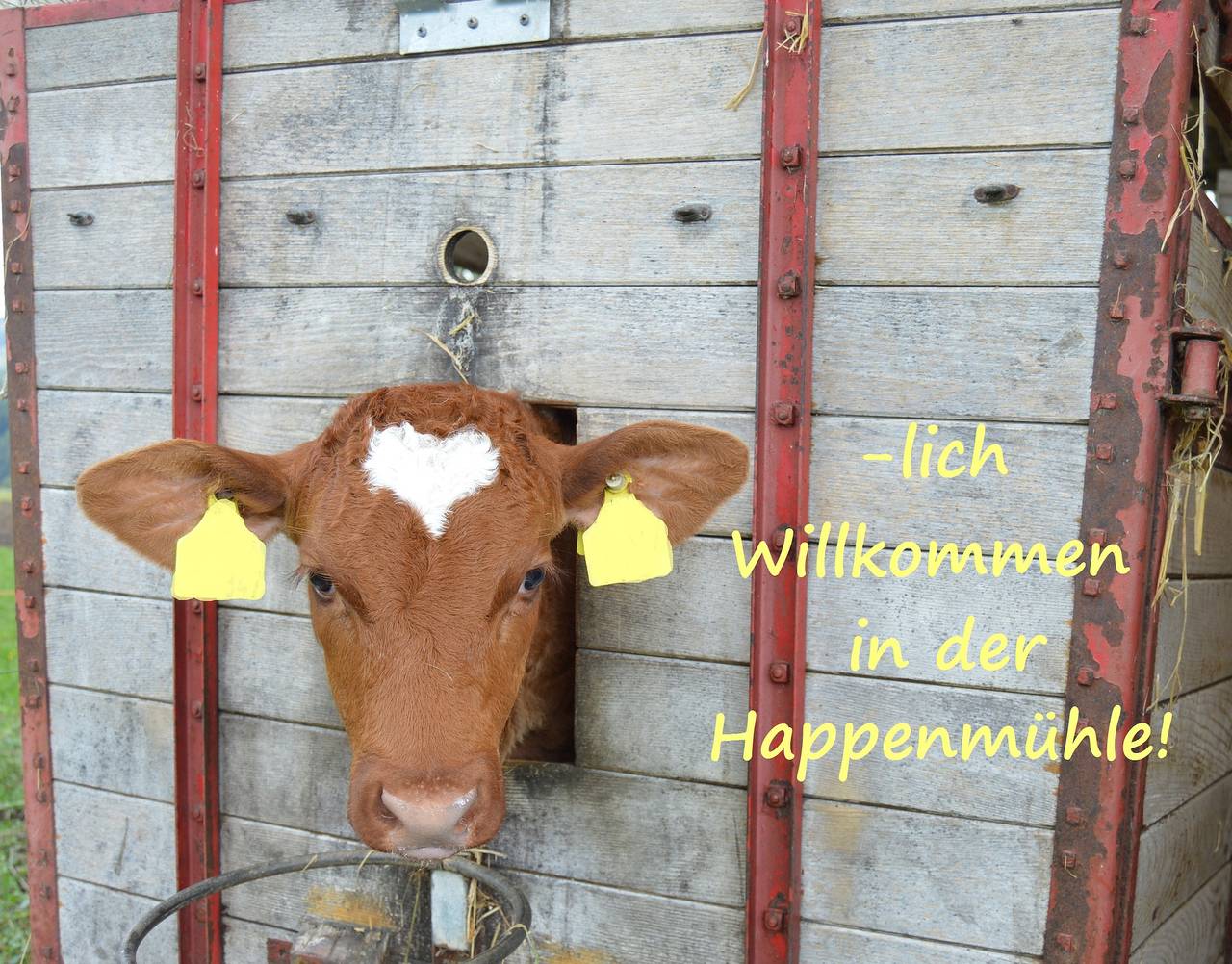 Ferienhof Rauch - Ferienwohnung Talblick, 70 qm, 1 Schlafzimmer mit Kinderbett, überdachter Balkon, max. 2 Personen in Owingen, Region Bodensee-Oberschwaben