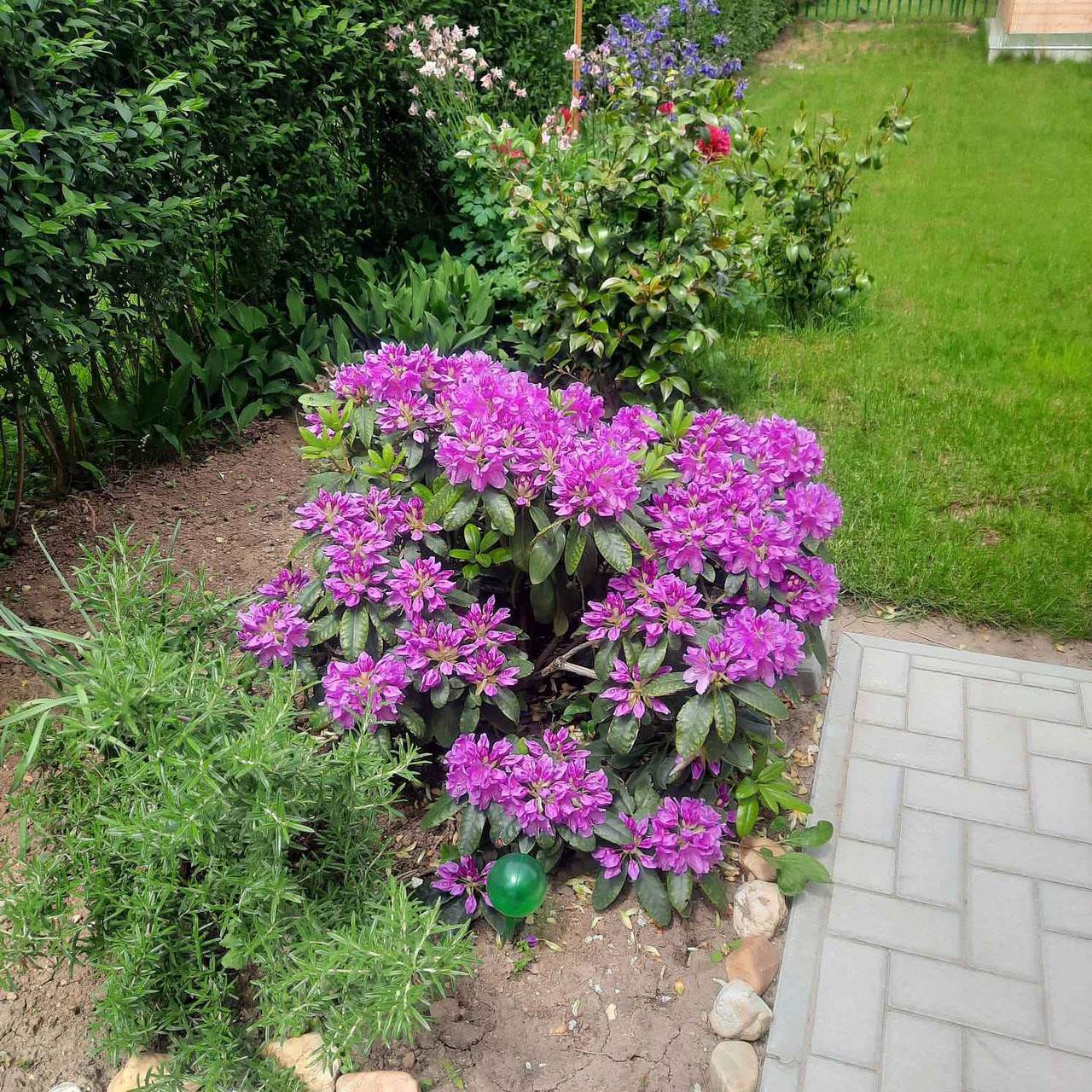 Ferienhaus nur 150 m von der Therme entfernt in Bük, Komitat Eisenburg
