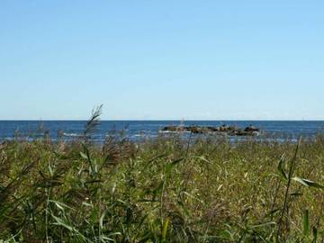 Ferielejlighed til 4 Personer i Svaneke, Bornholm, Billede 3