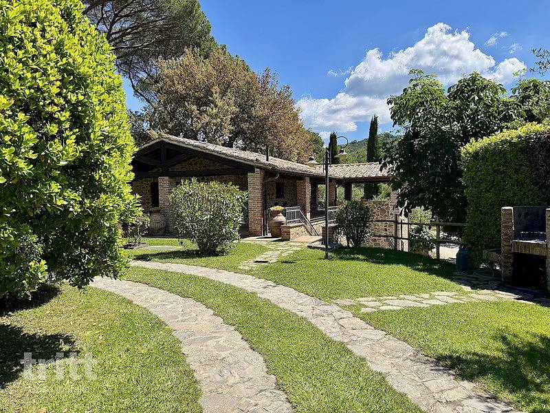 Tritt — This apartment for 4 people is located on a hill among olive trees in Citta della Pieve. in Città della Pieve, Province de Pérouse