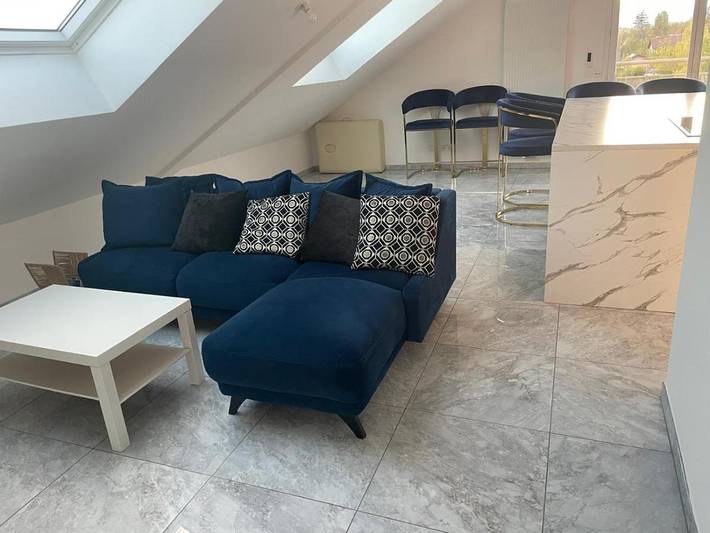 Gîte pour 6 personnes, avec terrasse et vue, animaux acceptés à Nangy - 4