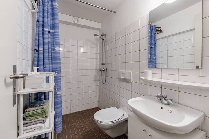 Ganze Wohnung, Alpine Apartment with Parking and Balcony in Hol