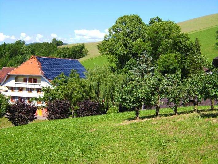 Ferienwohnung für 4 Personen, mit Balkon/Terrasse und Terrasse in Mittlerer Schwarzwald - 2