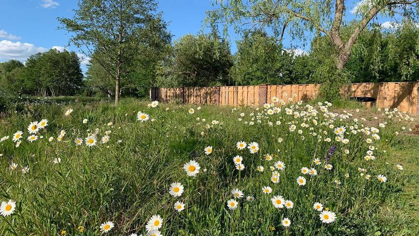 Ferienwohnung für 5 Personen, mit Garten in Vetschau - 2