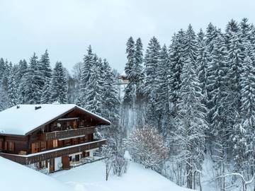 Chalet voor 8 Personen in Saanenmöser, Saanen, Afbeelding 1