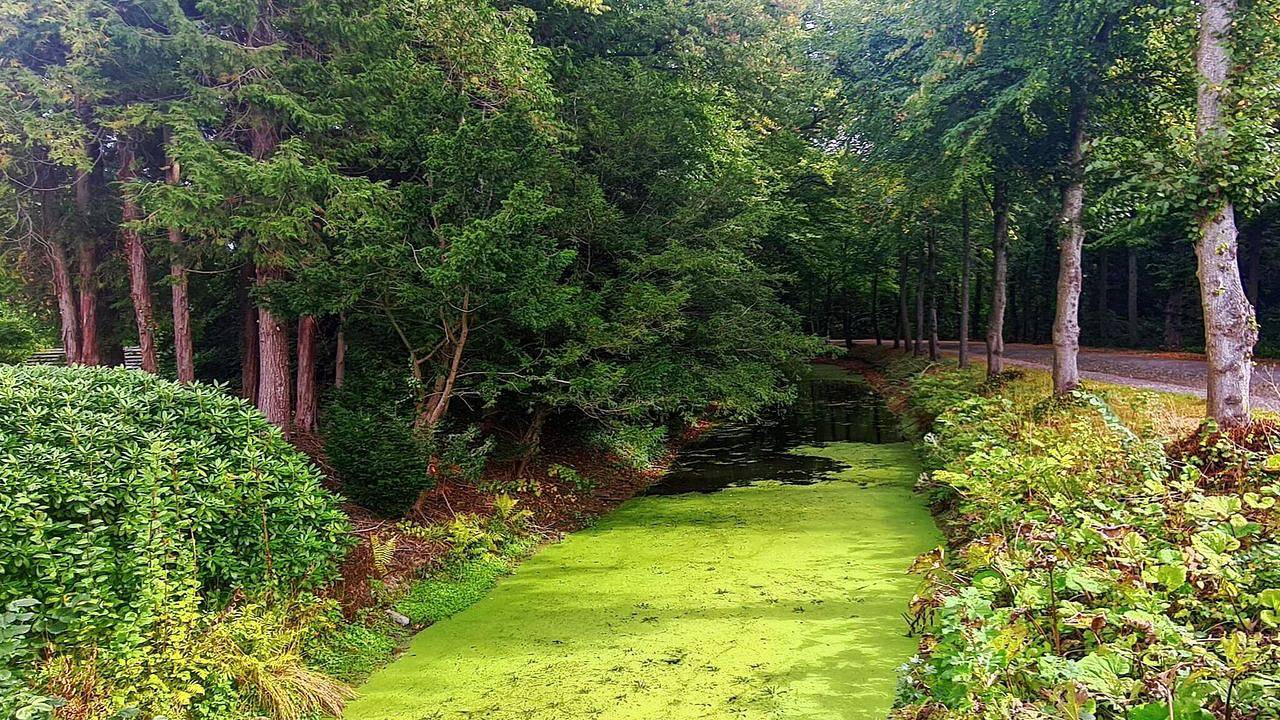 Ferienhaus für 4 Personen (39 m²) in Tønder in Tondern, Tondern und Umgebung
