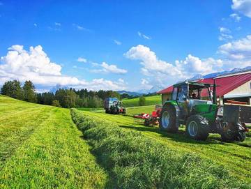 Ferienwohnung für 5 Personen in Hopferau, Allgäuer Alpen, Bild 3