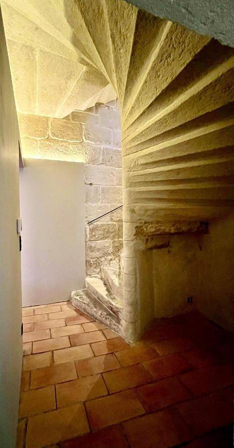 Location de vacances pour 9 personnes, avec vue ainsi que jardin et piscine à Aimargues - 2