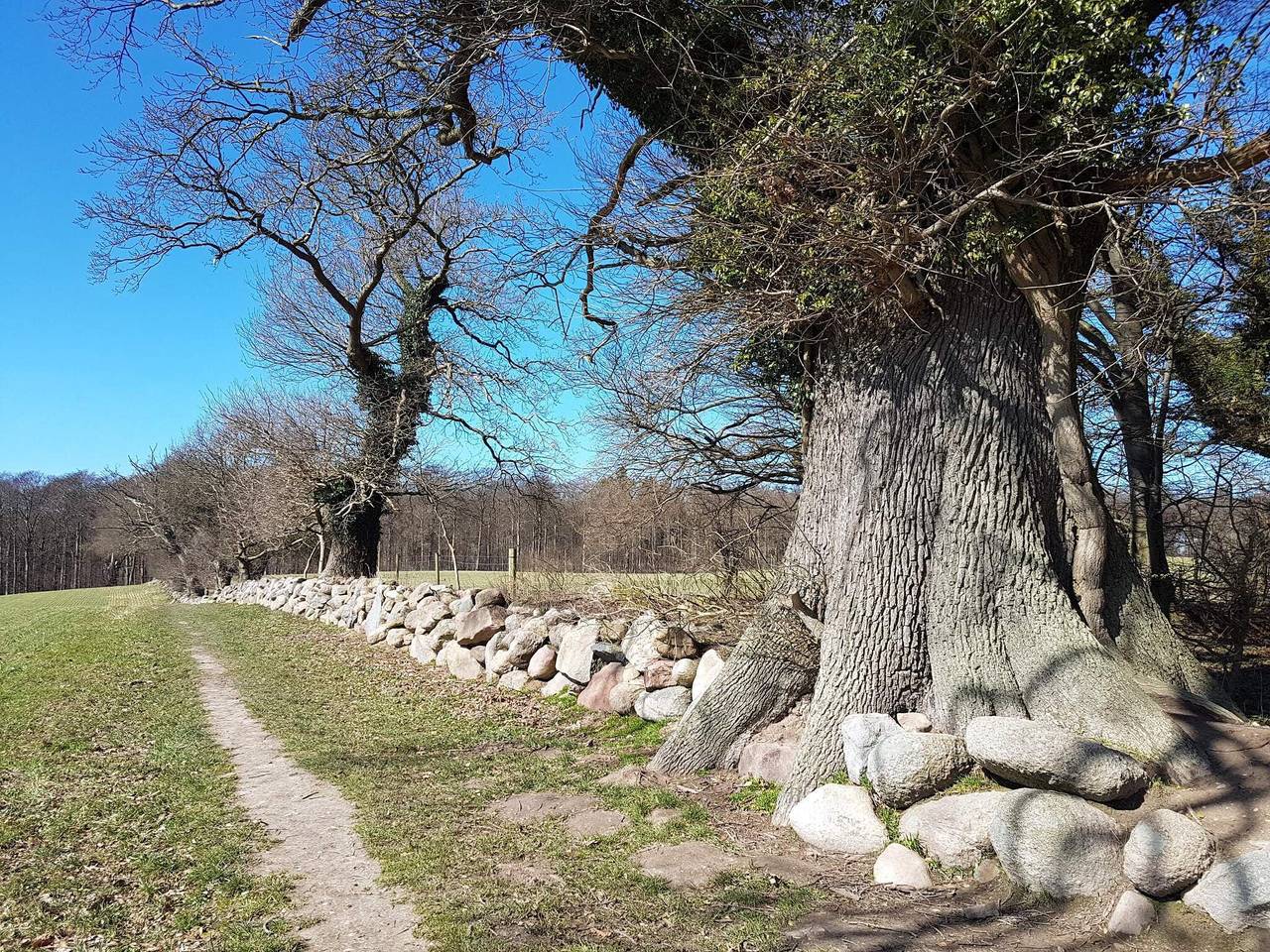 4 person holiday home in Vordingborg in Bakkebølle, Vordingborg