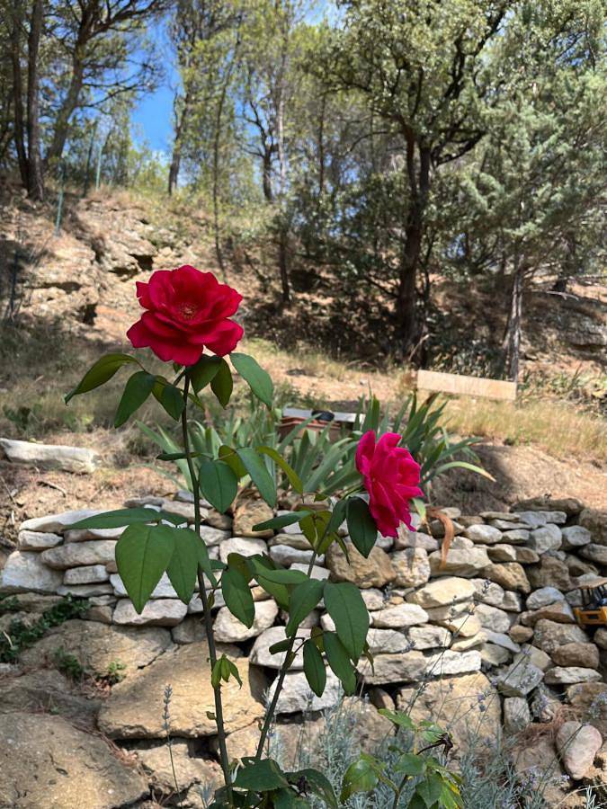 Gîte pour 2 personnes, avec piscine et vue ainsi que jardin et terrasse à Beaumes-de-Venise - 3